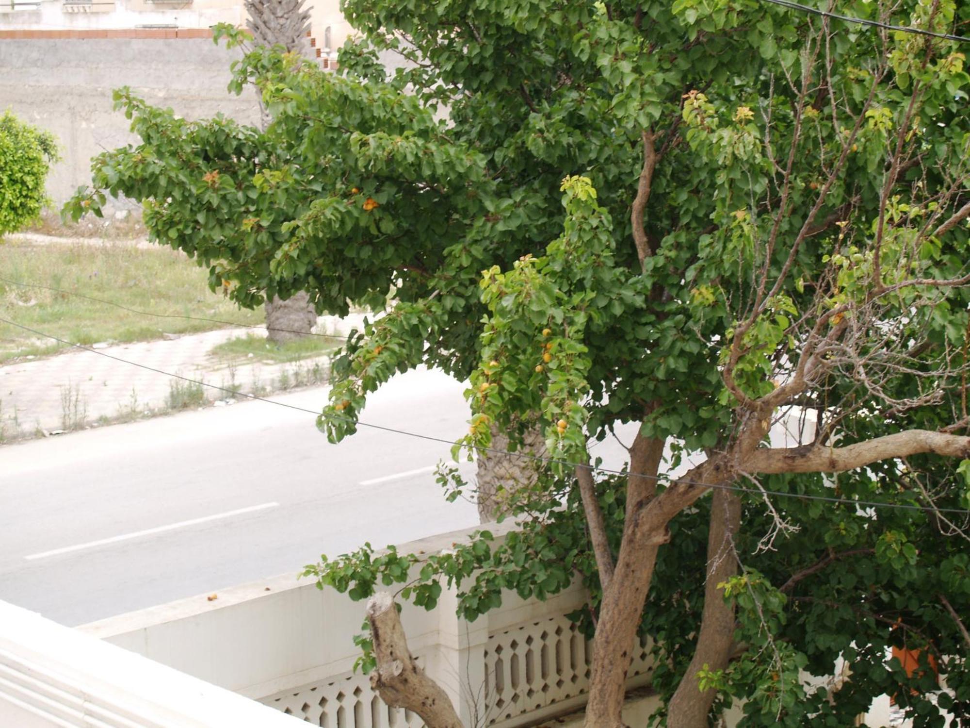 Dar El Amen Appartements Mahdia Szoba fotó